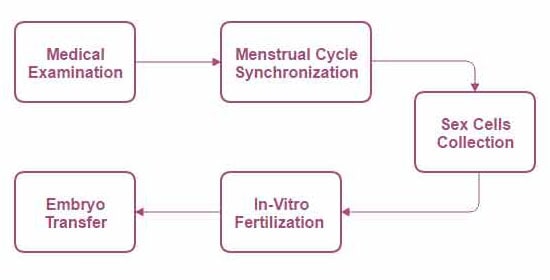 關於代孕媽媽的常見問題