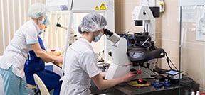 保证体外受精的线粒体治疗/原核移植 保证体外受精的线粒体治疗/原核移植