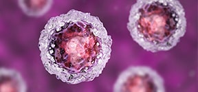 体外受精中的干细胞治疗 体外受精中的干细胞治疗