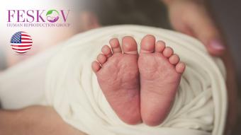 rewiews H****** 和 P********