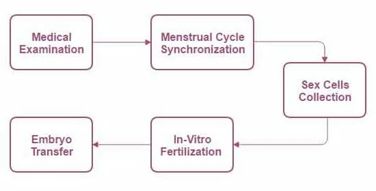 關於代孕媽媽的常見問題