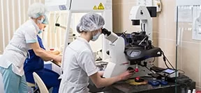 保证体外受精的线粒体治疗/原核移植 保证体外受精的线粒体治疗/原核移植