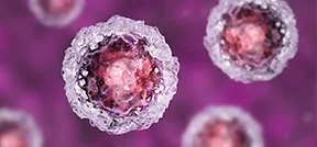 体外受精中的干细胞治疗 体外受精中的干细胞治疗