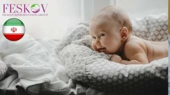 rewiews A****** & K*****