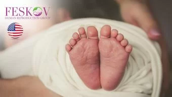 rewiews H****** 和 P********